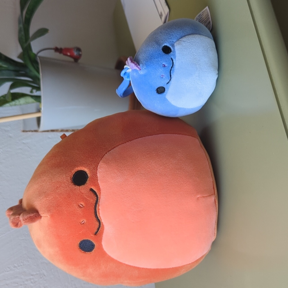 Two eel squishmallows